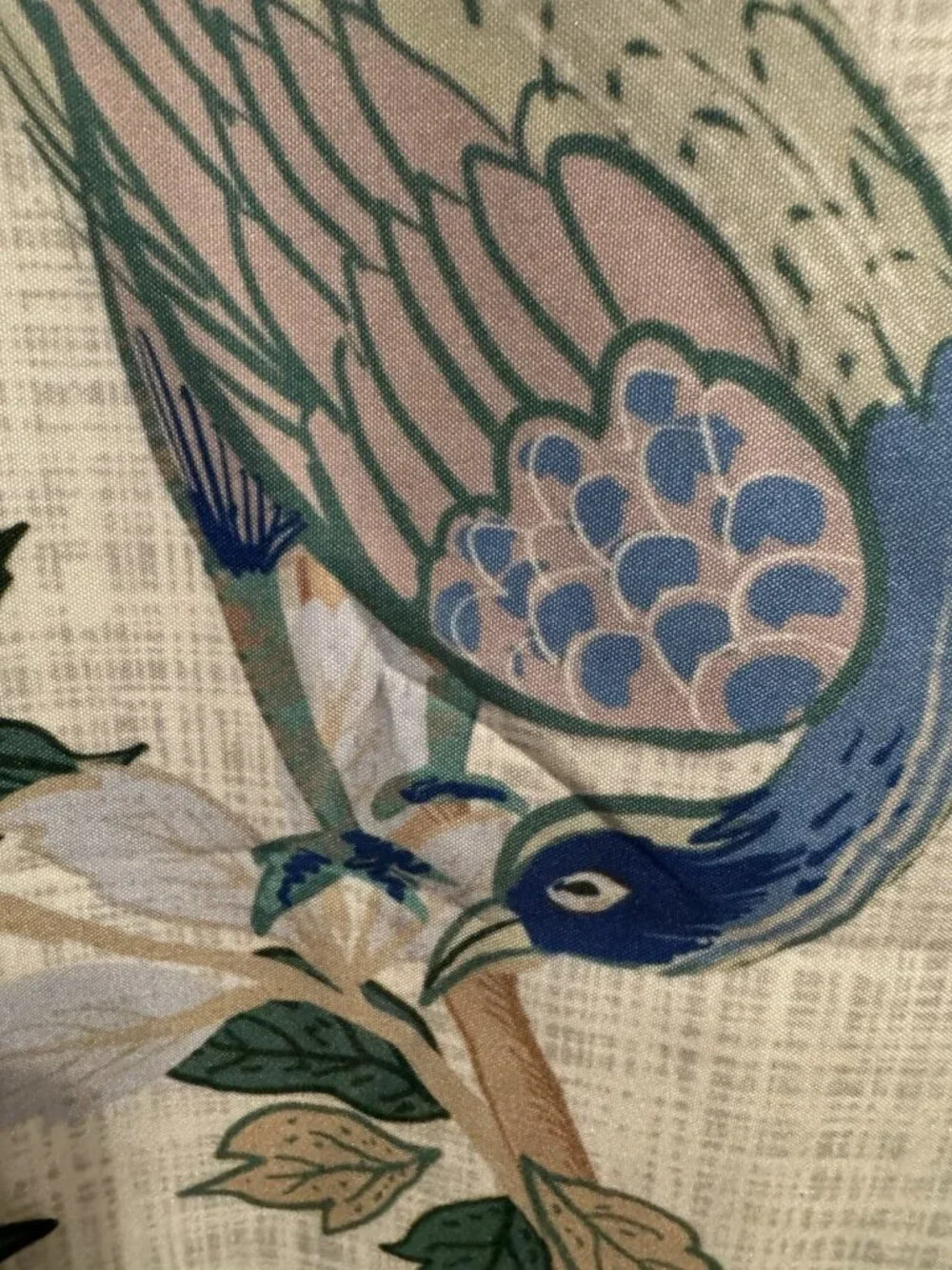Nordstrom Floral Ivory Blue Peacock Rifle Paper Co Shower Curtain 70
